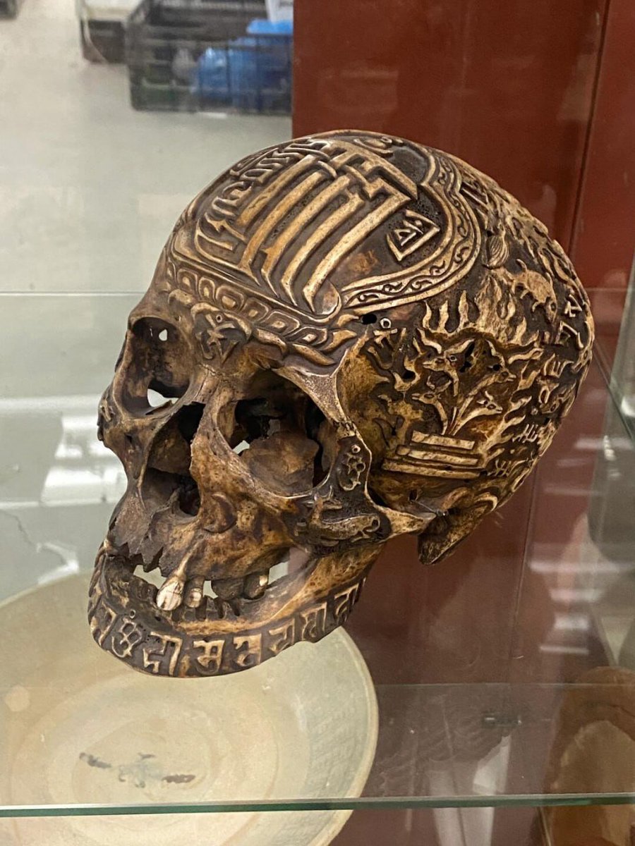 A glimpse into extinction: the Javan Tiger, a tragic reminder of mankind's impact on wildlife. 💔 #Conservation #LearnFromHistory