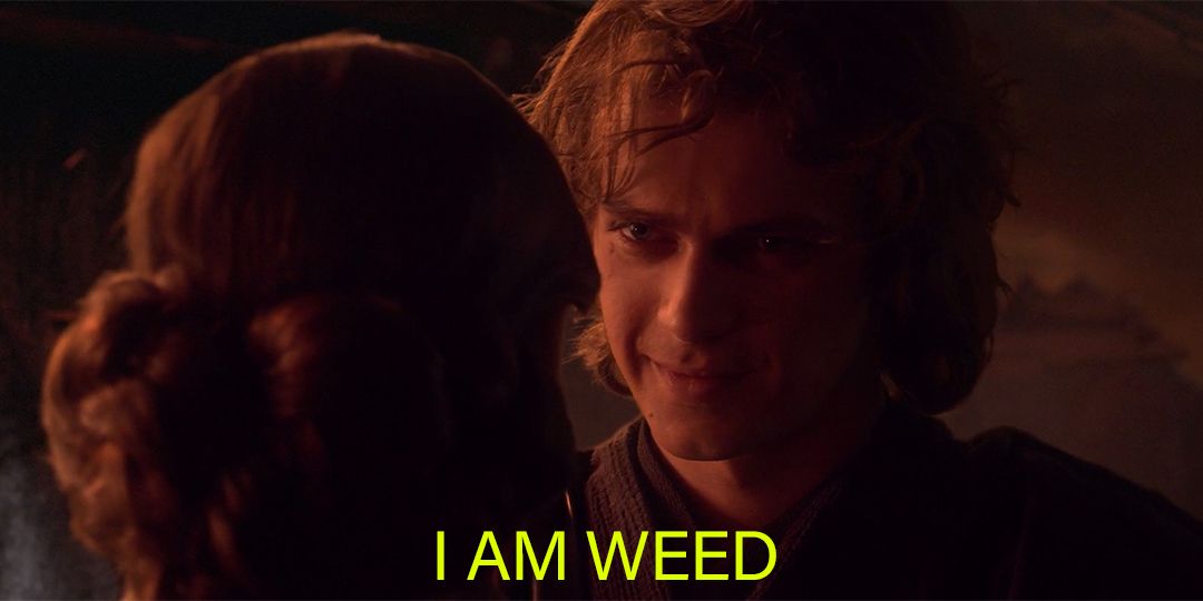 Weed Porn (@weedporns) on Twitter photo 