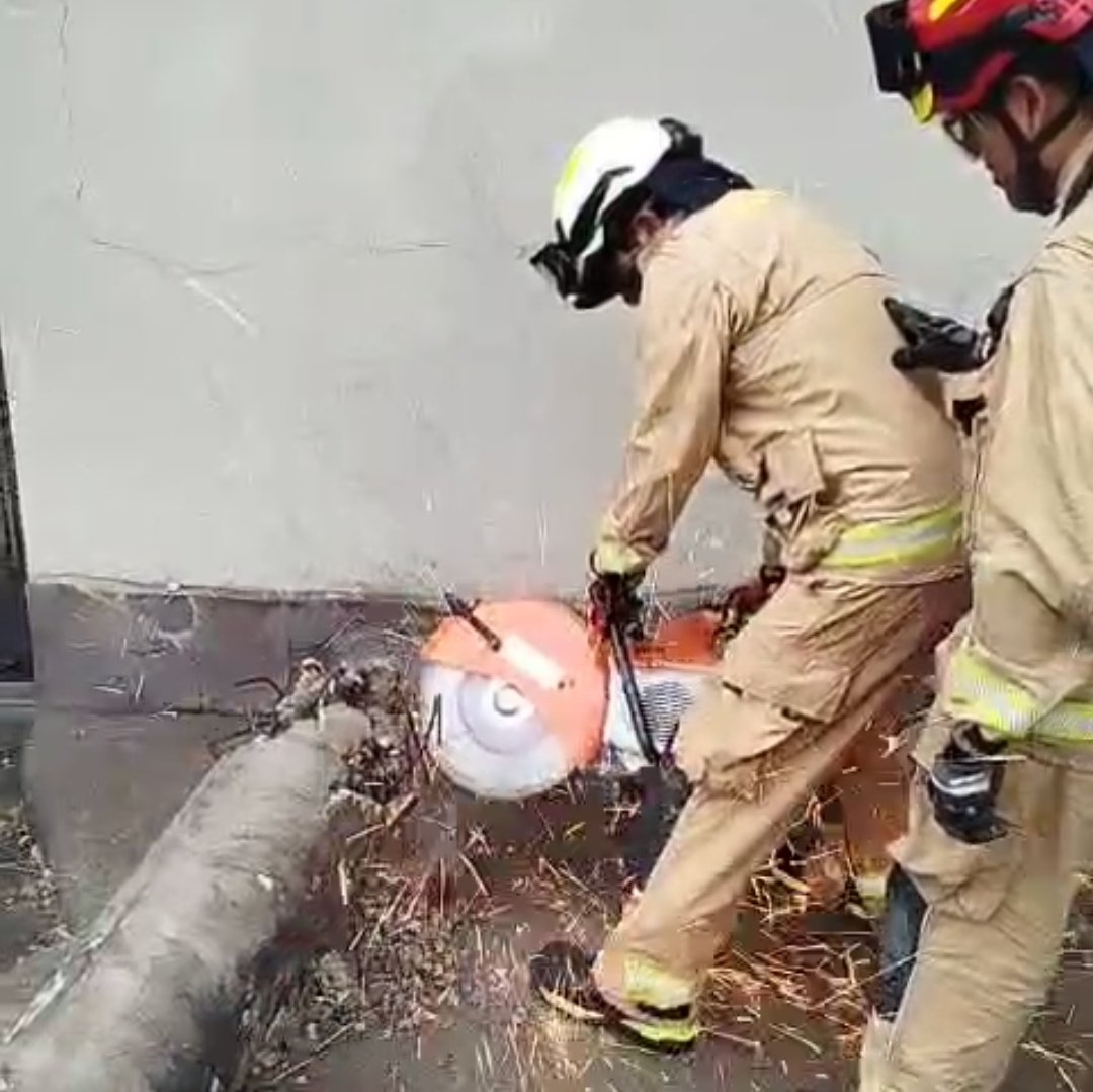 #Atención 
El personal de #BomberosCuenca con equipo especializado cortó y retiró el árbol y postes de alumbrado público que cayeron la tarde de este domingo en el sector de Castilla Cruz en la parroquia El Valle, habilitando la vía hace pocos minutos.