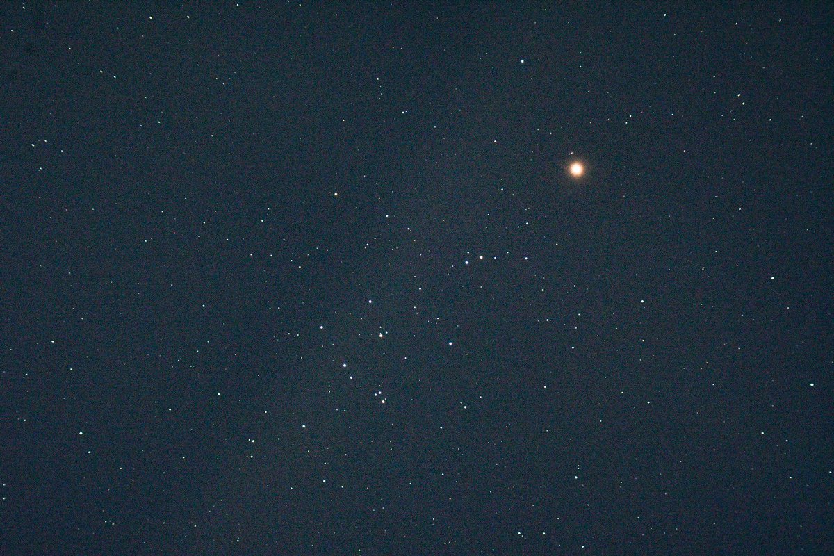 Chris Jones (@jonesy1007) on Twitter photo When a half is only a quarter, Sunday first quarter moon, now at 53% and lunar V is showing well, whilst the planet mars was mixing it up with M44, the beehive cluster
#moonhour <a href="/MoonHourSocial/">#MoonHour™️Social</a> #astronomy #Astrophotography When a half is only a quarter, Sunday first quarter moon, now at 53% and lunar V is showing well, whilst the planet mars was mixing it up with M44, the beehive cluster
#moonhour <a href="/MoonHourSocial/">#MoonHour™️Social</a> #astronomy #Astrophotography