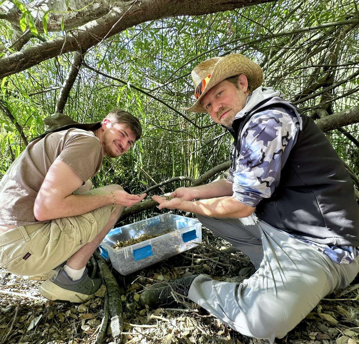 RochelleStiles's tweet photo. It’s officially Amphibian Week! You’ll see plenty of photos and stories about endangered amphibians, but what about the humans who dedicated their careers to savings these imperiled species? I’m incredibly honored and humbled to work with these wildlife biologists. https://t.co/PNWvnI0oE8
