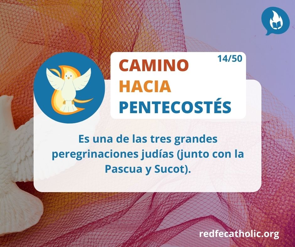 redfecatholic's tweet photo. Recorriendo el Antiguo Testamento, después de recibir las tablas en el monte Sinai y la salida de Egipto El Espíritu Santo se manifestó de muchas formas acompañado al pueblo de Israel.
#caminohaciapentecostés 
#redfecatholic https://t.co/4WRoOY2YCq