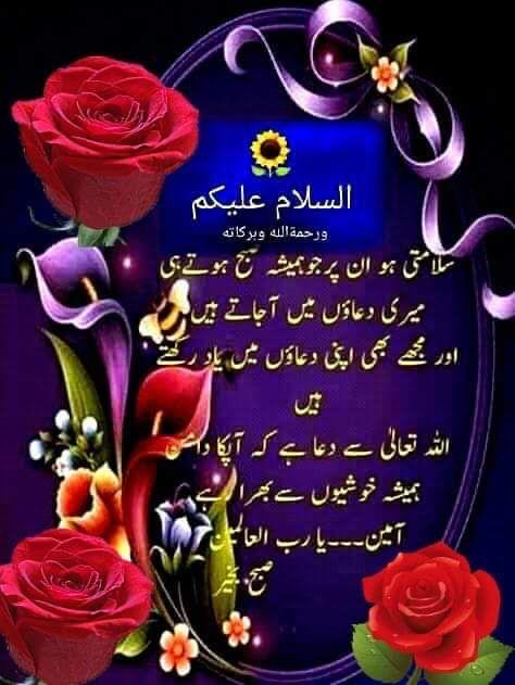 السلام علیکم ورحمت اللہ وبرکاتہ