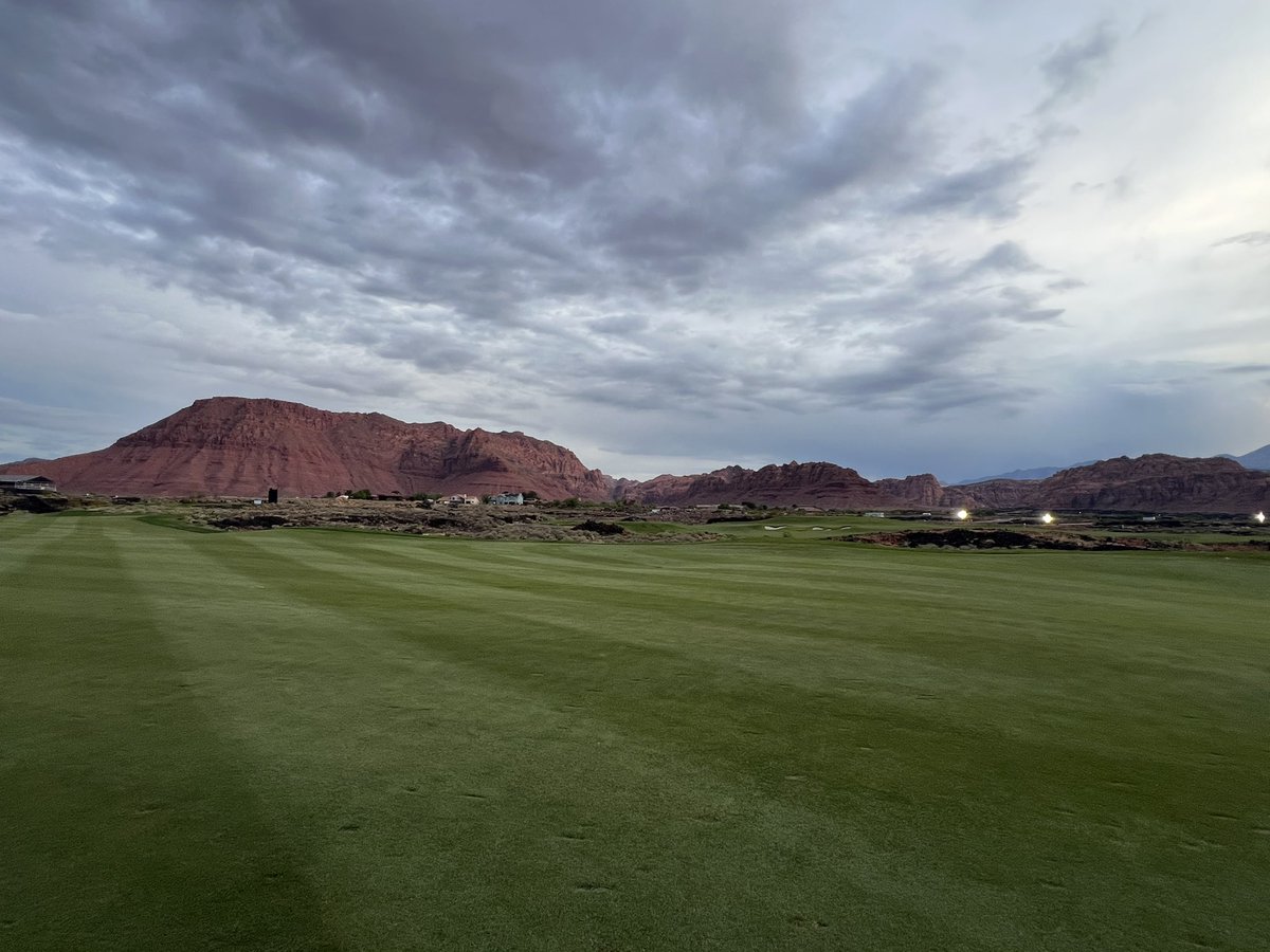 Molasses Kings tweet media