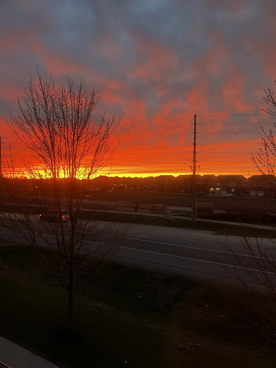 JahnaviGogoi2's tweet image. A spectacular end to the day! #sunsetsoftheworld #fierysky