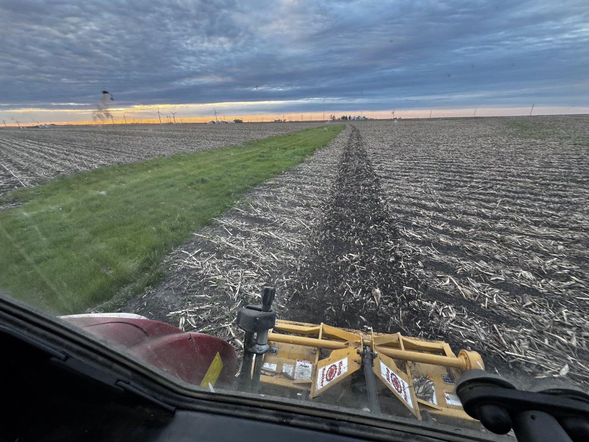 Shay Foulk tweet media