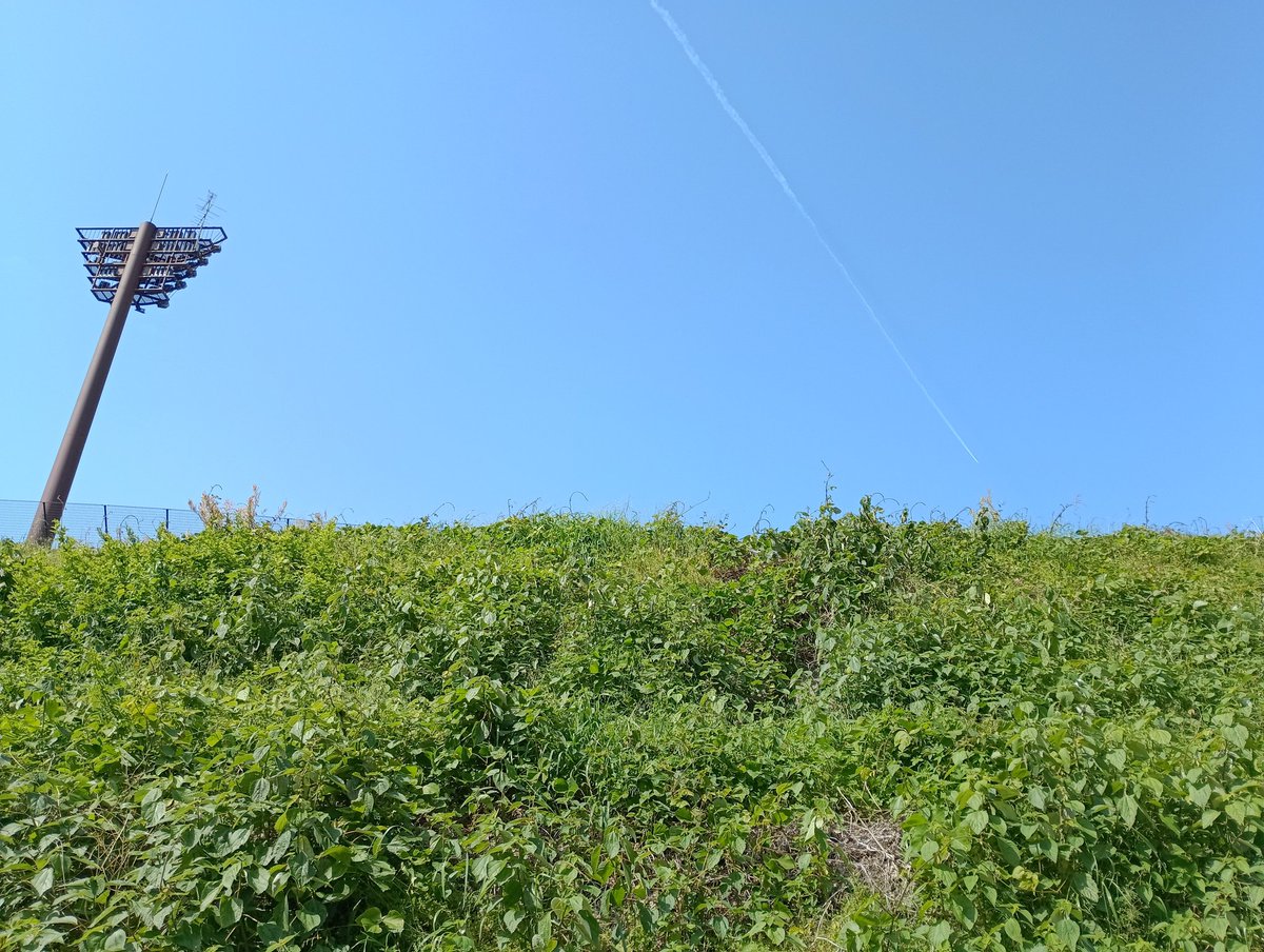 休みもう終わっちゃうよ