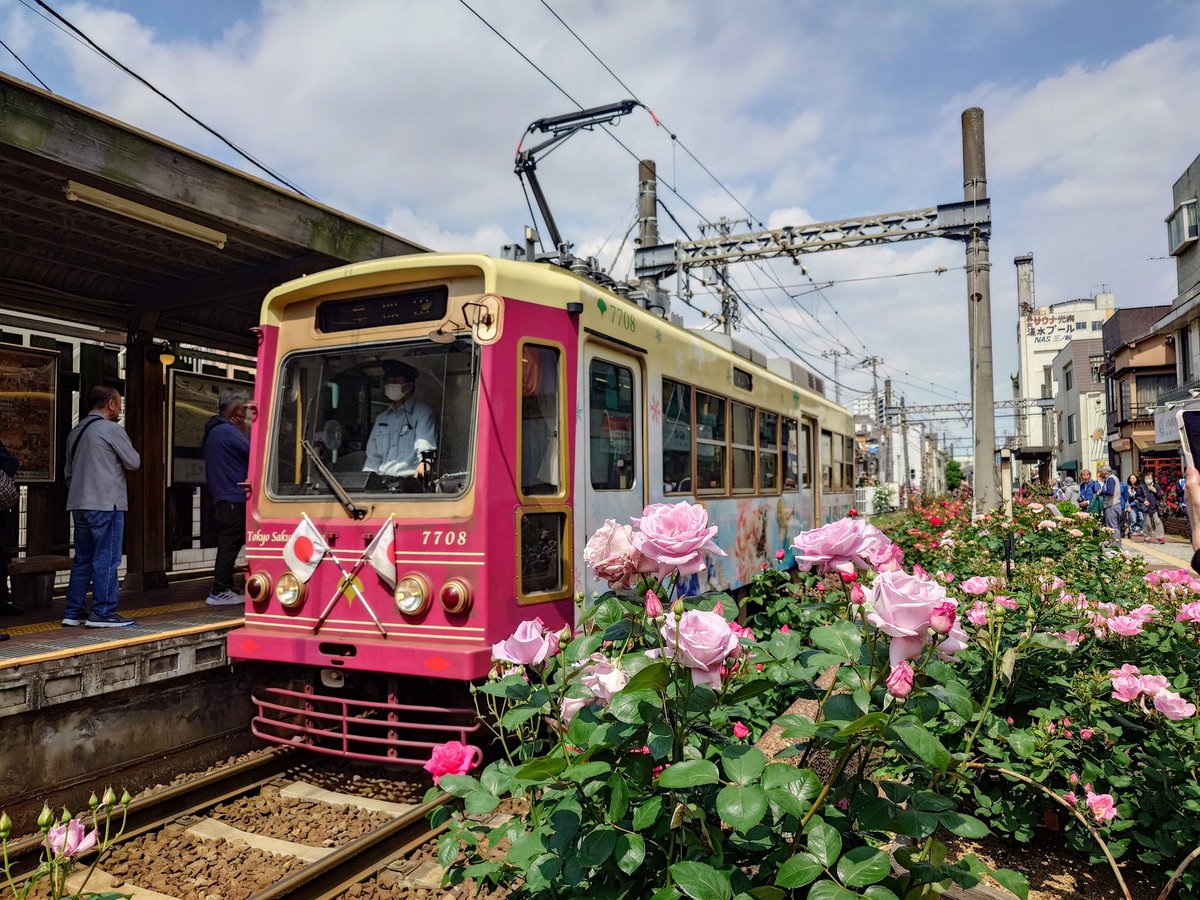 薔薇と都電