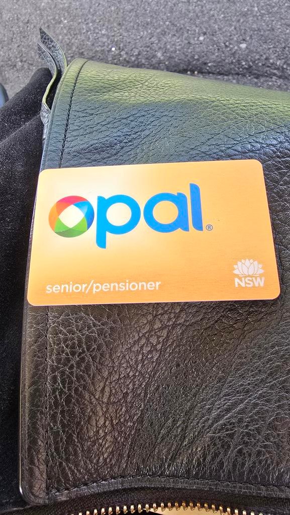 Princess Mattie tweet media