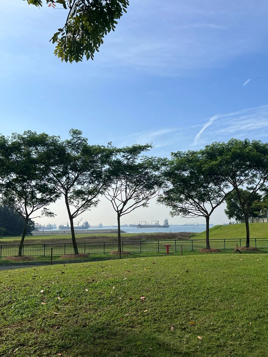 Playing golf brings me a unique combination of relaxation, challenge, and camaraderie.🏌️‍♀️