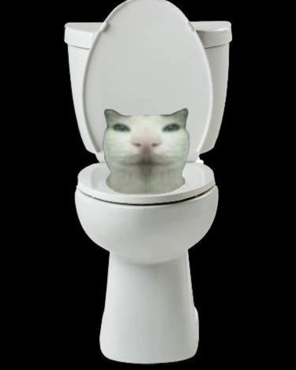 Punch Cat (@punchingcat) on Twitter photo 