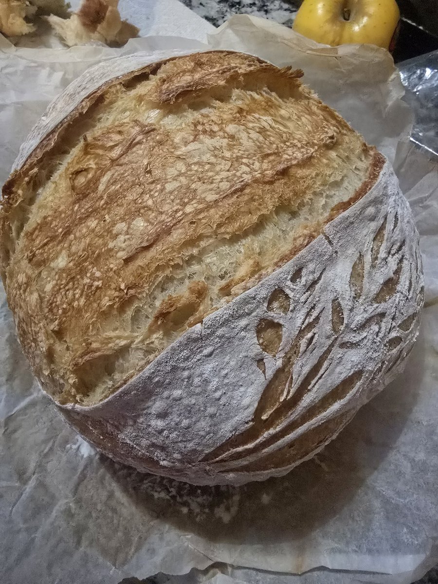 heedNOW's tweet photo. @yungblud I'm going to bring you a homemade sourdough boule. You just got to make sure i get in so I can give to you.  Lol https://t.co/6TVVJCbIoP
