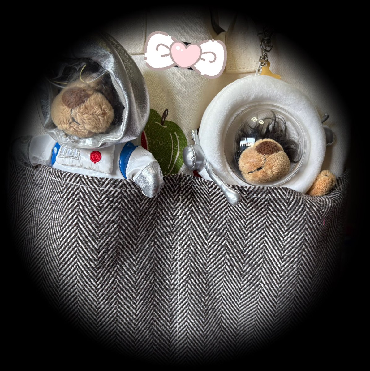 準備出来ました~