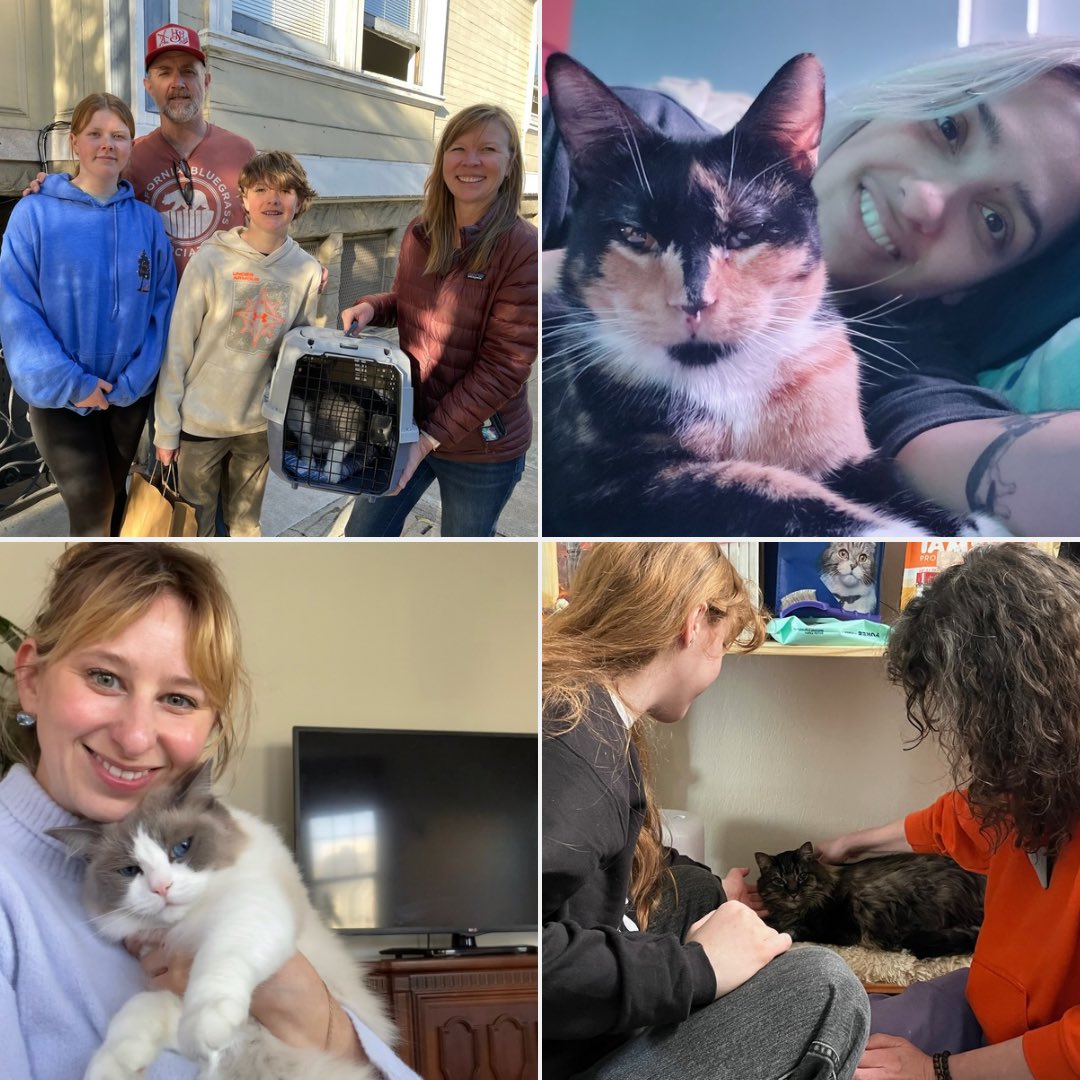 HAPPY TAILS ALERT! We are celebrating 9 adoptions from this week 🎉

Shy boy Batman finally found his forever home after waiting for 112 days!! 🖤

We have helped 90 cats get adopted in 2025 and we’re 100% donation-funded! Help us help more cats ➡️ givemesheltersf.org/contribute.php