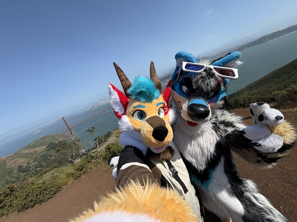 koda // deon ๐ FWA (@kodakeijin) on Twitter photo I think that we should move to San Franciscoโฆ thatโs where the happy people go!! :)
fursuit selfie idea by <a href="/Melon_mow/">Soju cat โ ๏ธ</a> <3 I think that we should move to San Franciscoโฆ thatโs where the happy people go!! :)
fursuit selfie idea by <a href="/Melon_mow/">Soju cat โ ๏ธ</a> <3