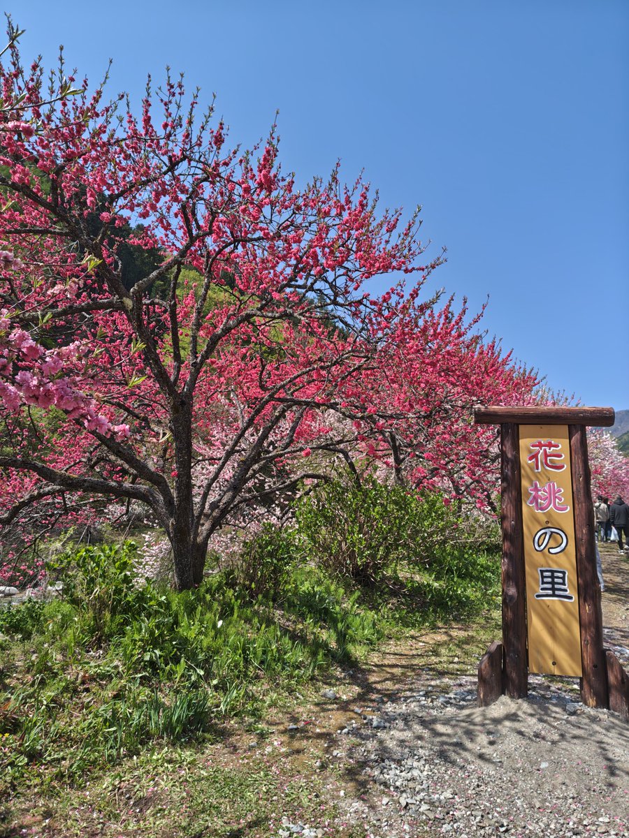 cia_fbi_nasa//007 (@cia_nasa) on Twitter photo 