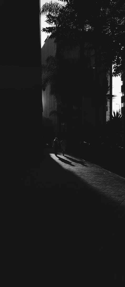 Shadow Hunt
• Edited with <a href="/vsco/">VSCO</a> B5 / B&amp;W Classic
#Monochrome #StreetPhotography
#Lima #Peru