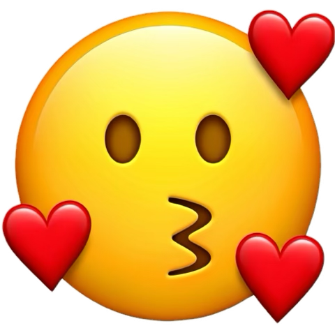 WORLD CHAMPS WEAR RR