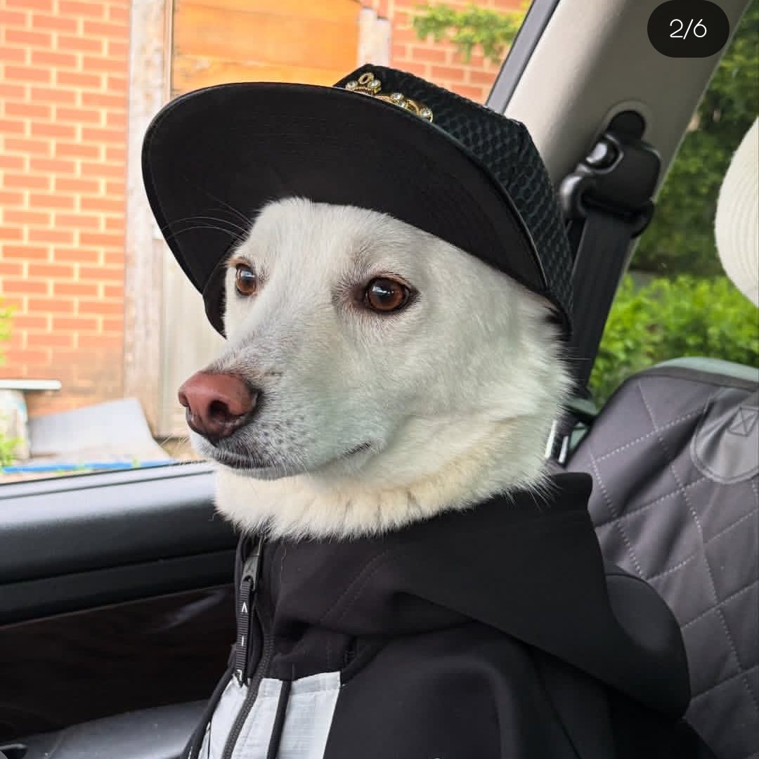 #NewProfilePic