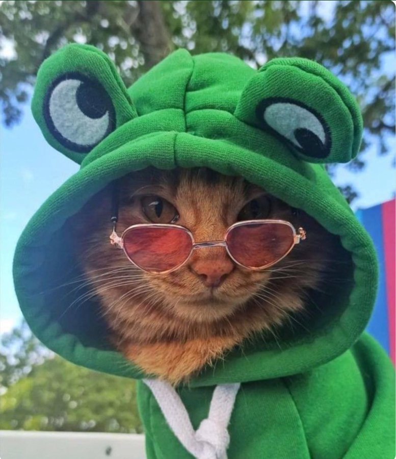 The Pied Pipers Patriots (@piedpiperofx) on Twitter photo May 4th Summary (2 of 3)
This is the complete list of “new” connections from the last 24 hours
<a href="/TexaBob/">TexaBob</a>
<a href="/IggyMom6/">IggyMom (Jen)</a>
<a href="/MacProudInfidel/">Markus</a>
<a href="/Teapartygirl60/">Donna Campbell</a>
<a href="/DavieNZ06/">Davie</a>
<a href="/EllaZvi/">Ella Zvi</a>
<a href="/mcgmouton57/">Robbie Mouton</a>
<a href="/ally_o123/">AllyO.</a>
<a href="/bsw_35630/">Lady B</a>
<a href="/Mikeoutdoors73/">Mike</a>
<a href="/Thatz_Okay/">Thatz Okay</a>
<a href="/TjMisiolek/">The Honey Badger 🇺🇸</a>
<a href="/SaltyOldGoat1/">The SaltyOldGoat 🇺🇸</a>
<a href="/DeaniseA19993/">Deanise</a> May 4th Summary (2 of 3)
This is the complete list of “new” connections from the last 24 hours
<a href="/TexaBob/">TexaBob</a>
<a href="/IggyMom6/">IggyMom (Jen)</a>
<a href="/MacProudInfidel/">Markus</a>
<a href="/Teapartygirl60/">Donna Campbell</a>
<a href="/DavieNZ06/">Davie</a>
<a href="/EllaZvi/">Ella Zvi</a>
<a href="/mcgmouton57/">Robbie Mouton</a>
<a href="/ally_o123/">AllyO.</a>
<a href="/bsw_35630/">Lady B</a>
<a href="/Mikeoutdoors73/">Mike</a>
<a href="/Thatz_Okay/">Thatz Okay</a>
<a href="/TjMisiolek/">The Honey Badger 🇺🇸</a>
<a href="/SaltyOldGoat1/">The SaltyOldGoat 🇺🇸</a>
<a href="/DeaniseA19993/">Deanise</a>