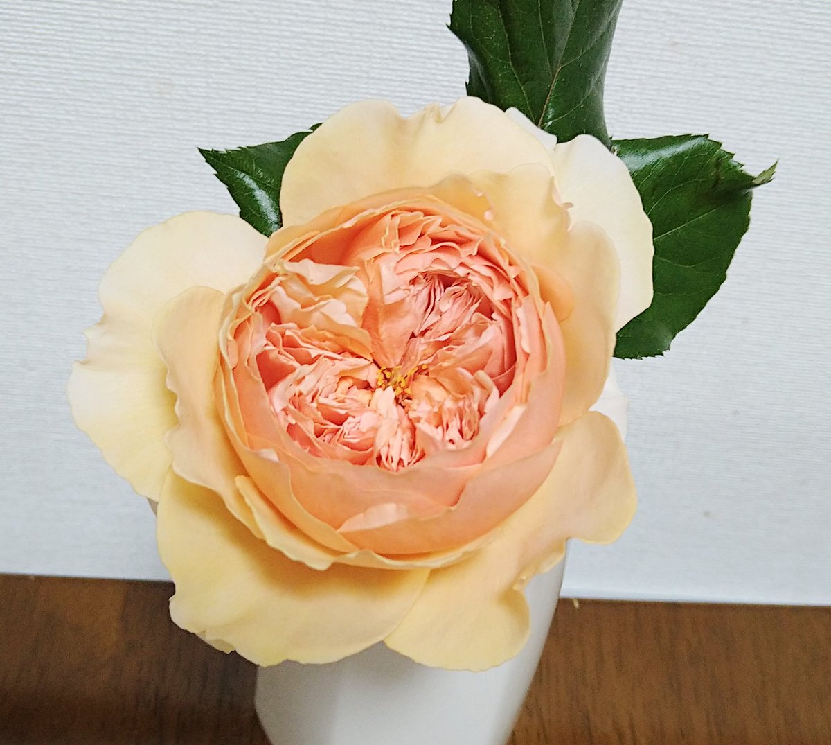 たりあ (@t0105love) / Posts / X