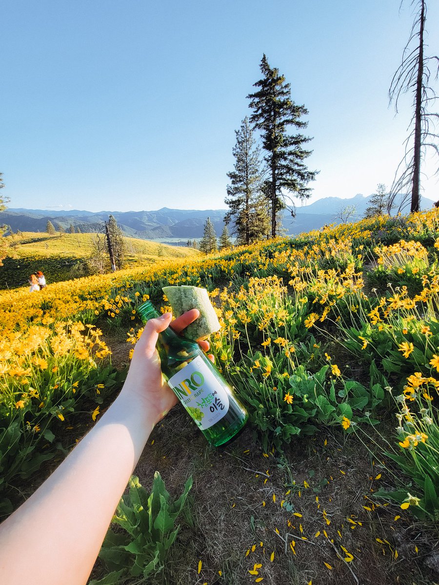 nobody talk to me rn