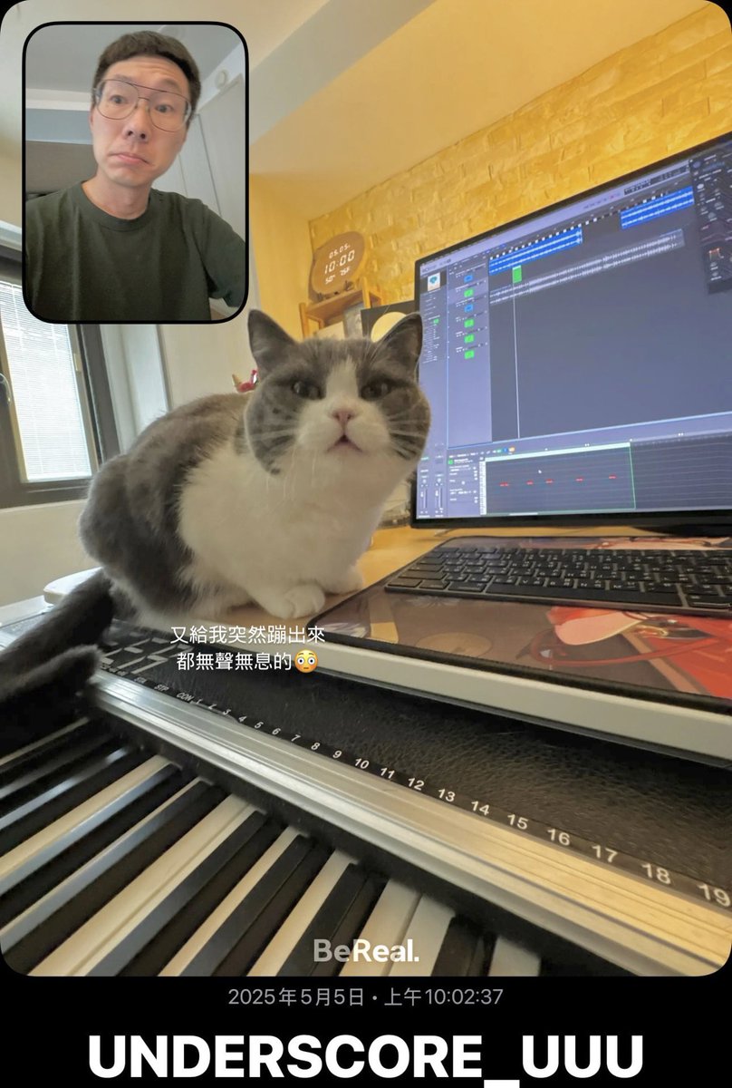 Rush!! #MusicDaily #Compose #Music #Producer #SoundDesigner #GameComposer #gamemusic #gameaudio #unclearranger #cat #cats #BritishShorthair #British #Shorthair