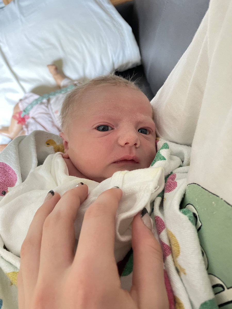 Mr. Snyder tweet media