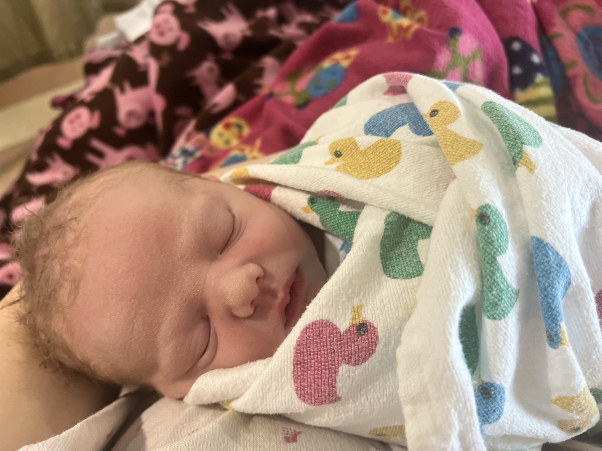 Mr. Snyder tweet media