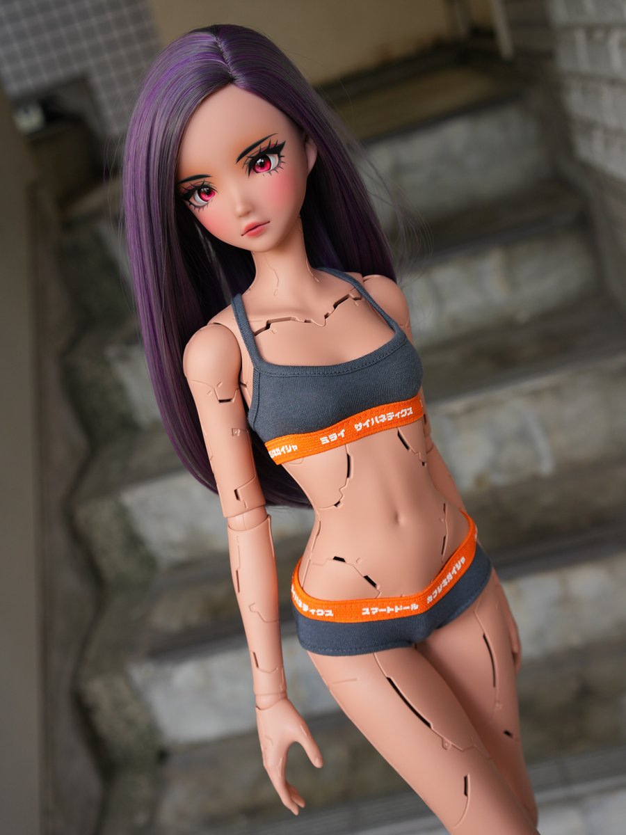 Smartdoll Land tweet media