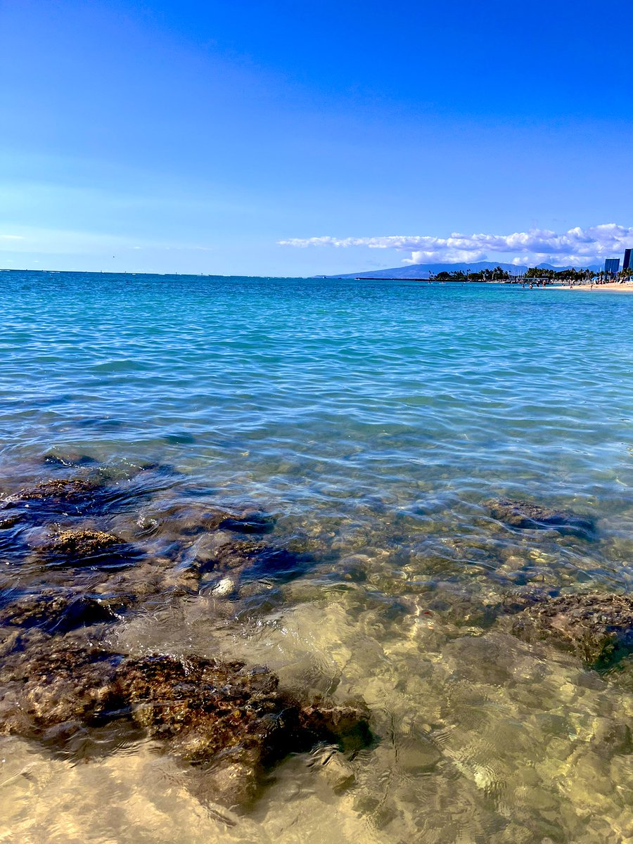 普段はこういうことを投稿しないのにそれを垂れ流してしまっている自分にも辟易としてしまう。

今日も天気は最高にいいんですけどね。