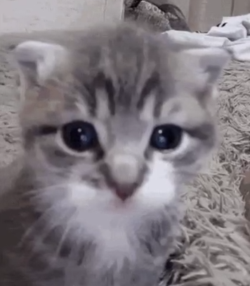 No les voy a negar que últimamente tengo recaídas de animo y mi salud física empeora, Pero estoy intentando hacer lo posible para no dejarme morir otra vez y estoy enfocándome en nuevas metas y intentan ayudar más.