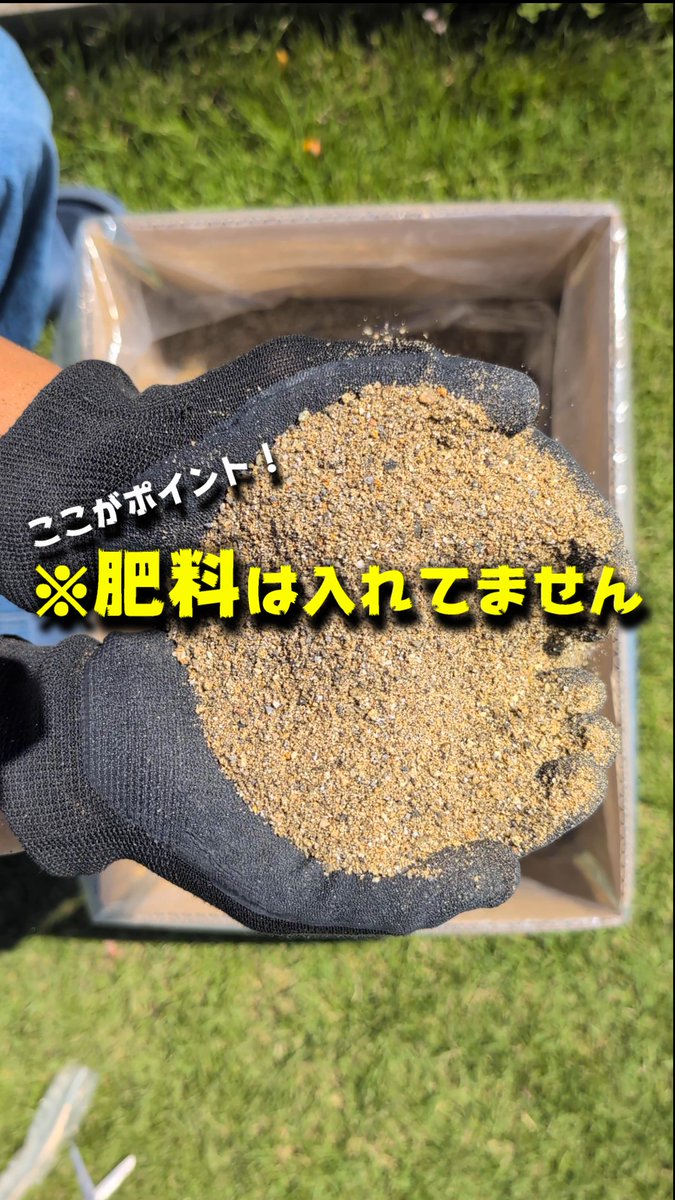つりきっぷ / 家庭で自然を楽しむ tweet media