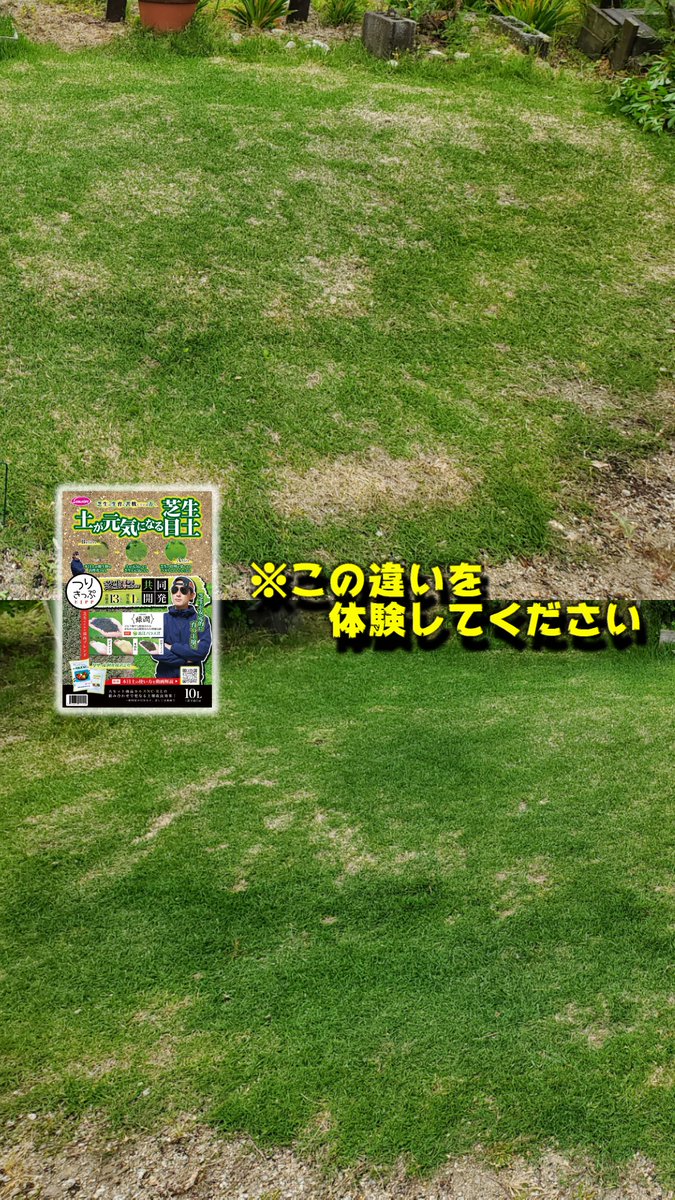 つりきっぷ / 家庭で自然を楽しむ tweet media