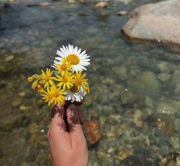 slowbreez019's tweet photo. Can we restart summer ⛱️🌞 https://t.co/1a2CtigOfG