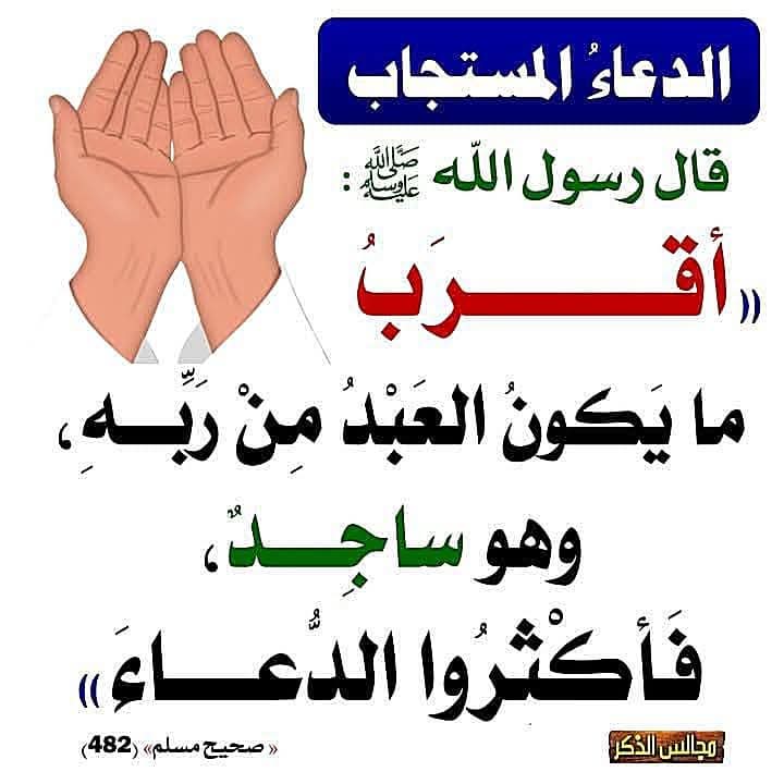 NashrAhdeeth's tweet photo. https://t.co/7LwJ86rWOj