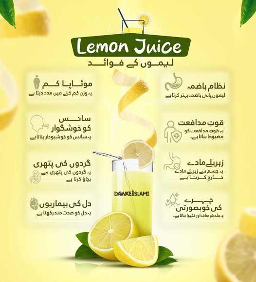 MADANIinfo's tweet image. ایک گلاس لیموں پانی،
صحت کا خزانہ — خوبصورتی، طاقت اور تحفظ ایک ساتھ! 🍋✨
#lemon  #juice  #benifits
