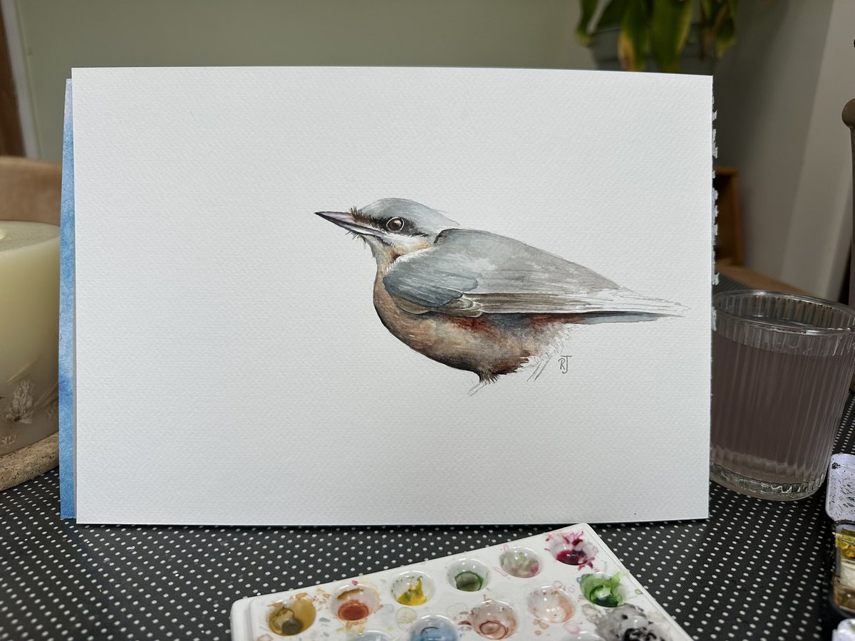 Back to thanking Yvonne Findlay for her fabulous 📷. I often use them as a starting point …