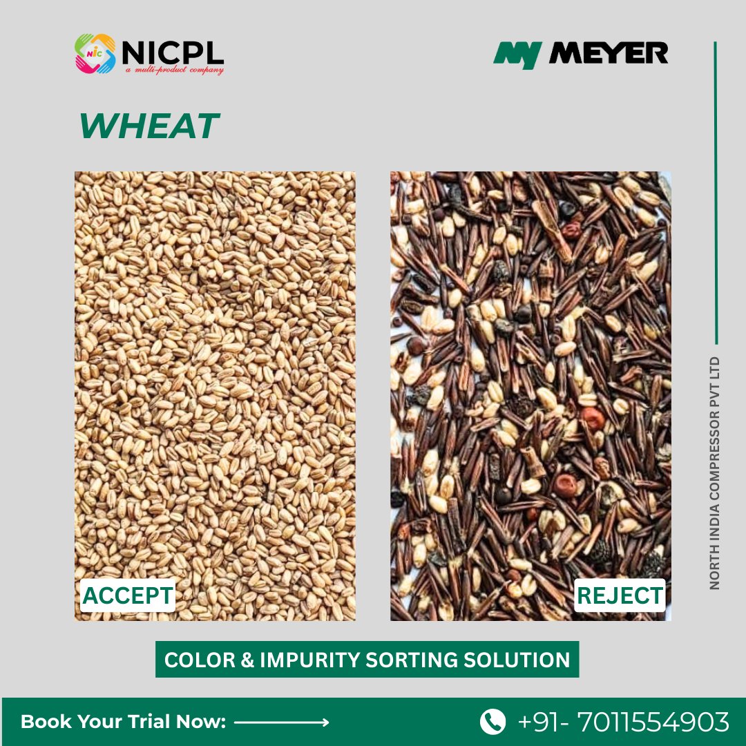 N_I_C_P_L's tweet image. 🎯 Precision Sorting for Premium Quality Wheat!

With MEYER Color Sorter Machines, separate the best from the rest.
Increased purity
Reduced wastage
Boosted profitability

Book demo: +91-7011554903
 #WheatProcessing #ColorSortingMachine #NICPL  #NIC #MEYER #MeyerColorSorter
