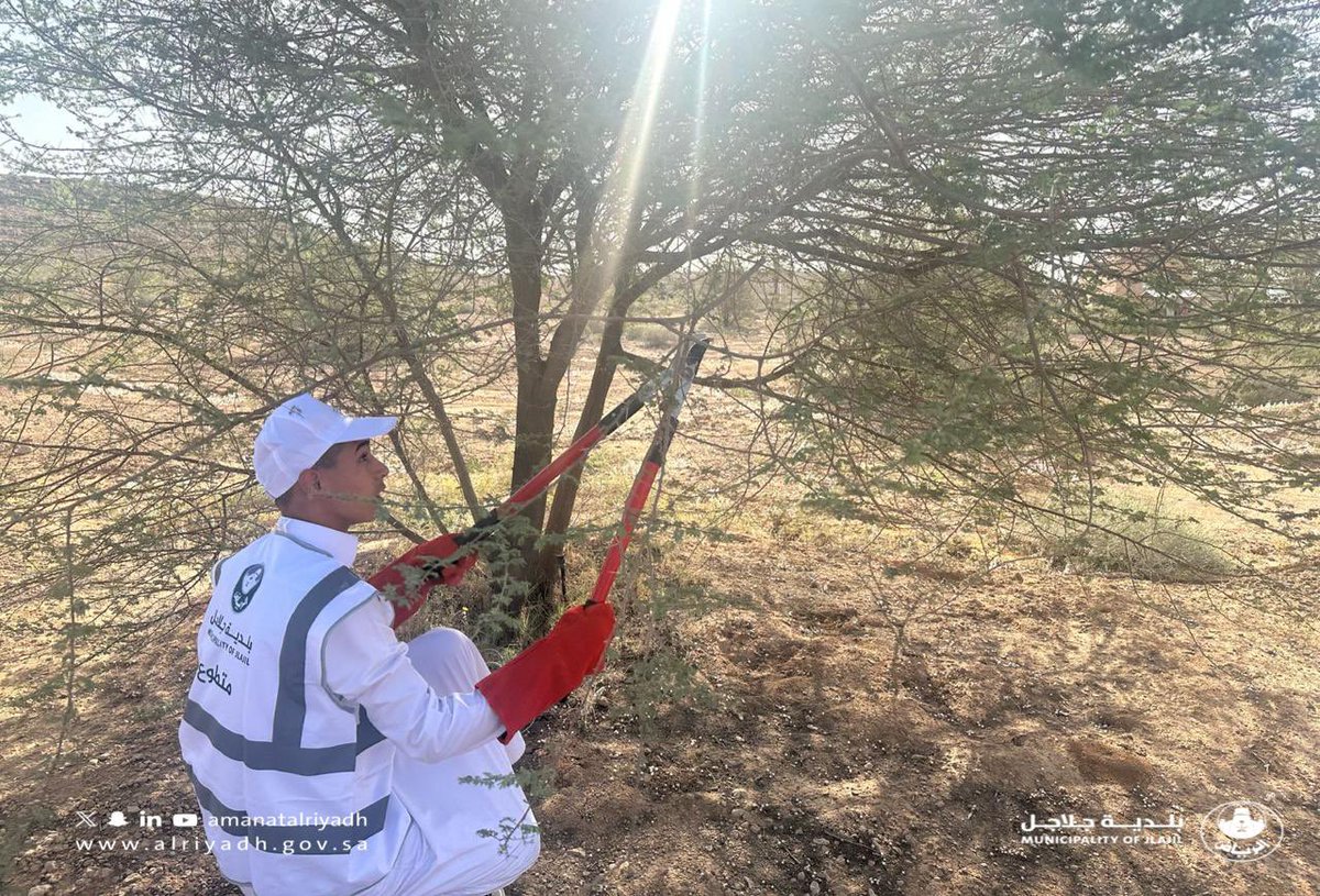 jlajilmun's tweet photo. أقامت #بلدية_جلاجل مبادرة لتقليم الأشجار 🌳 في المنتزه البري، ضمن جهودها لتعزيز البيئة الجمالية ✨. شكرًا لكل من ساهم في هذا العمل!
#أمانة_منطقة_الرياض https://t.co/Se1yaslKcZ