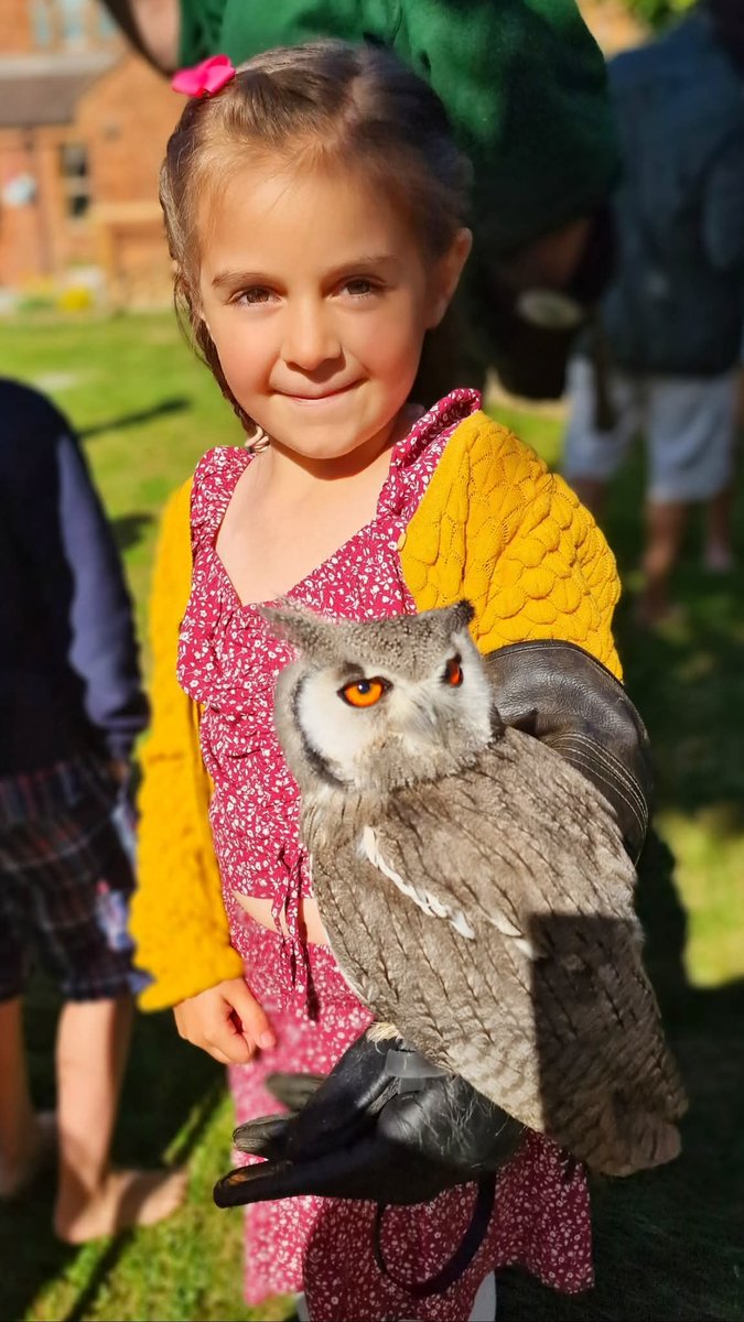 Happy Monday. Had the best garden party at the weekend 🦉 👌