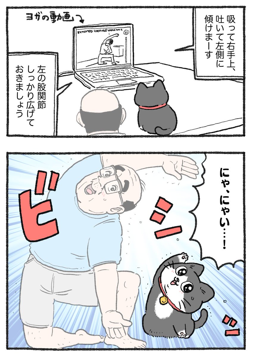 ねこに転生したおじさん。その708