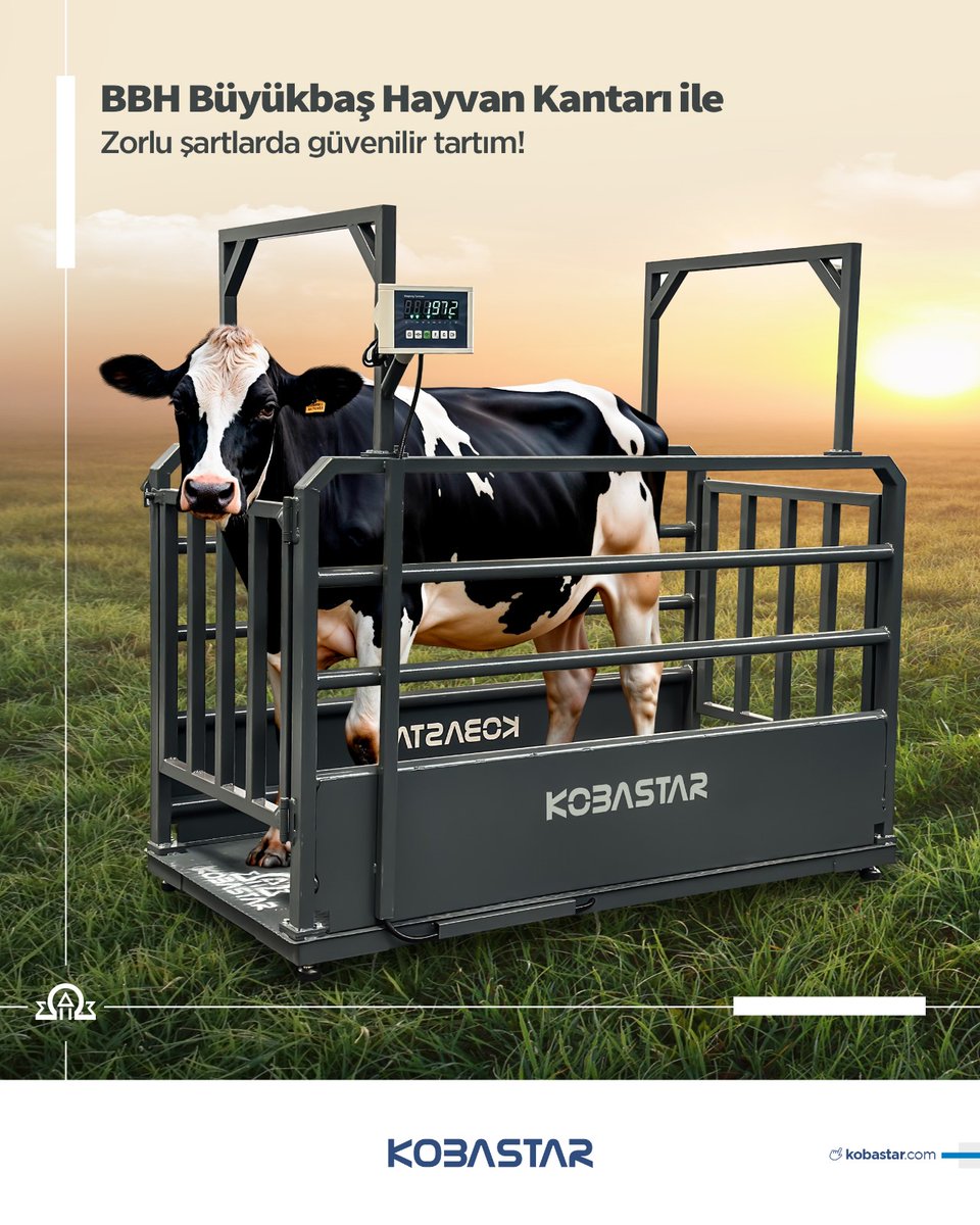 Kobastar BBH Canlı Hayvan Kantarı

✅ Düşük profil tasarımı sayesinde sadece 80 mm yükseklik – rampa veya zemin kazısı gerektirmez.
✅ IP68 koruma ile suya ve zorlu çiftlik koşullarına dayanıklı.
✅ Elektrostatik fırın boyalı platform – uzun ömürlü ve paslanmaz.
✅ 1500 - 3000 kg