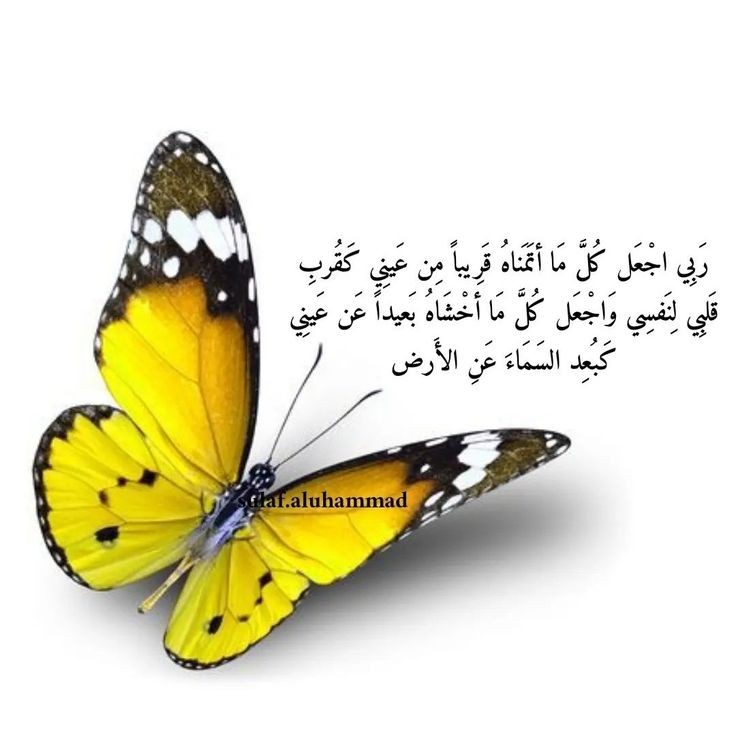 عِطّر🥀 (@looo__0) on Twitter photo 