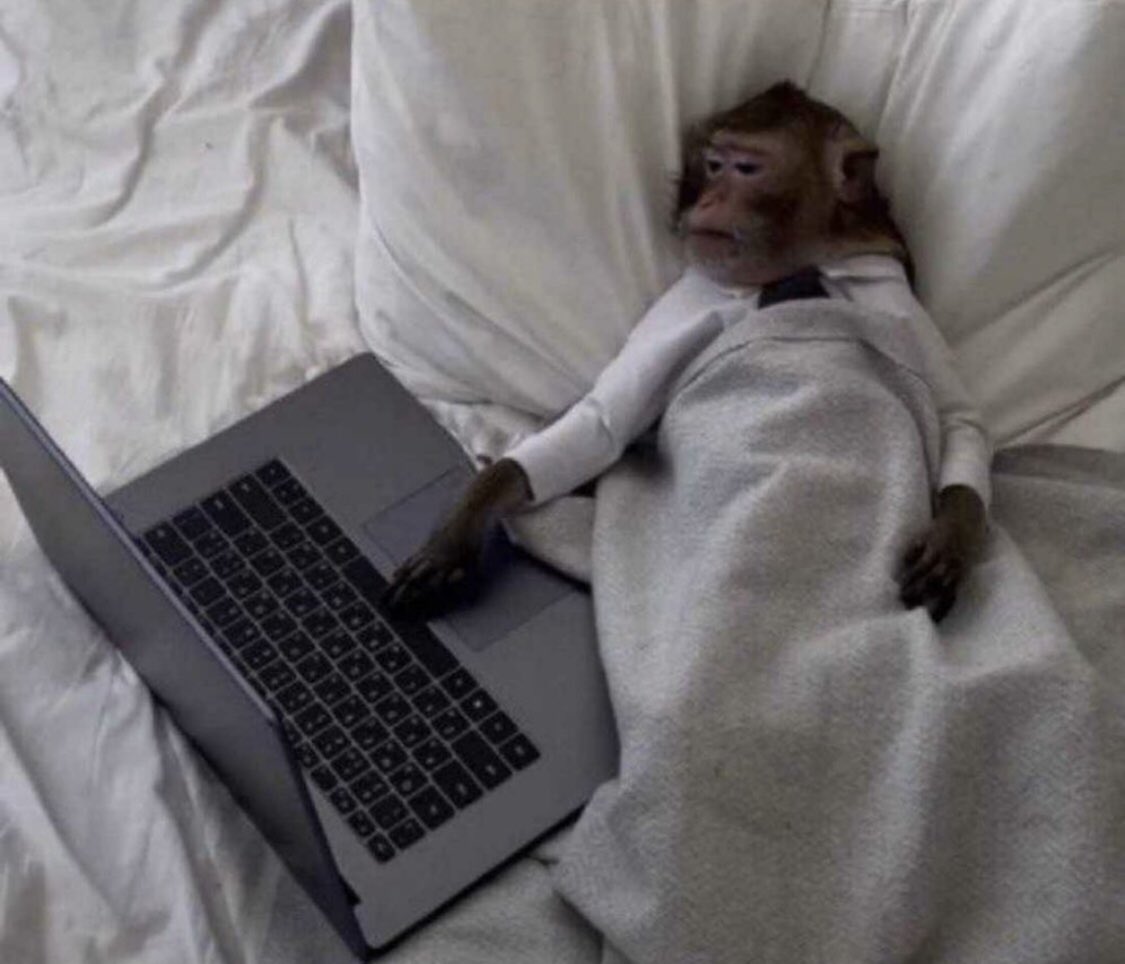 _devJNS's tweet image. when you tired of coding, but you got bills to pay😂