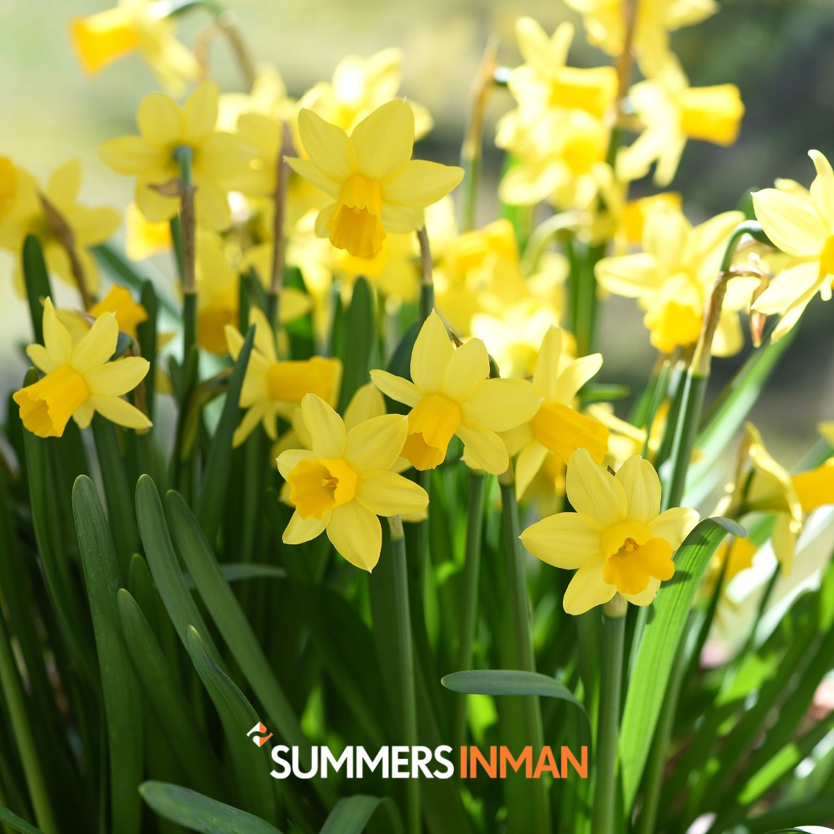 Wishing everyone a happy bank holiday! 

#relax #happybankholiday #construction #builtenvironment #summersinman