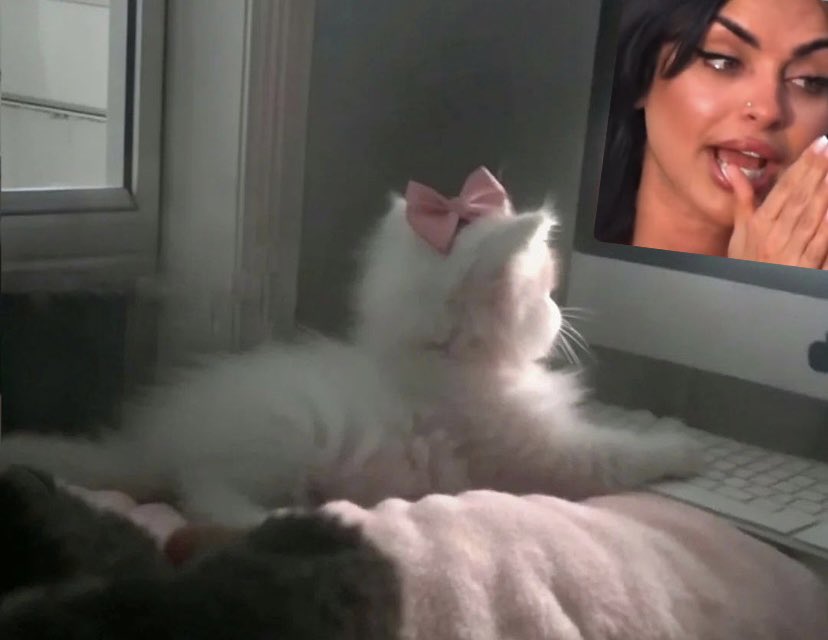 FT•°⋆★ (@f2temeh) on Twitter photo 