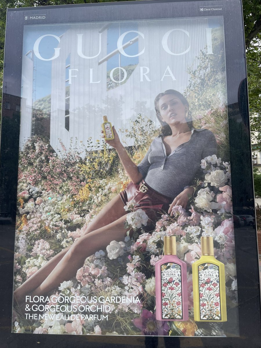 Mayas de ayer y de hoy. Sigo  en contradicción.