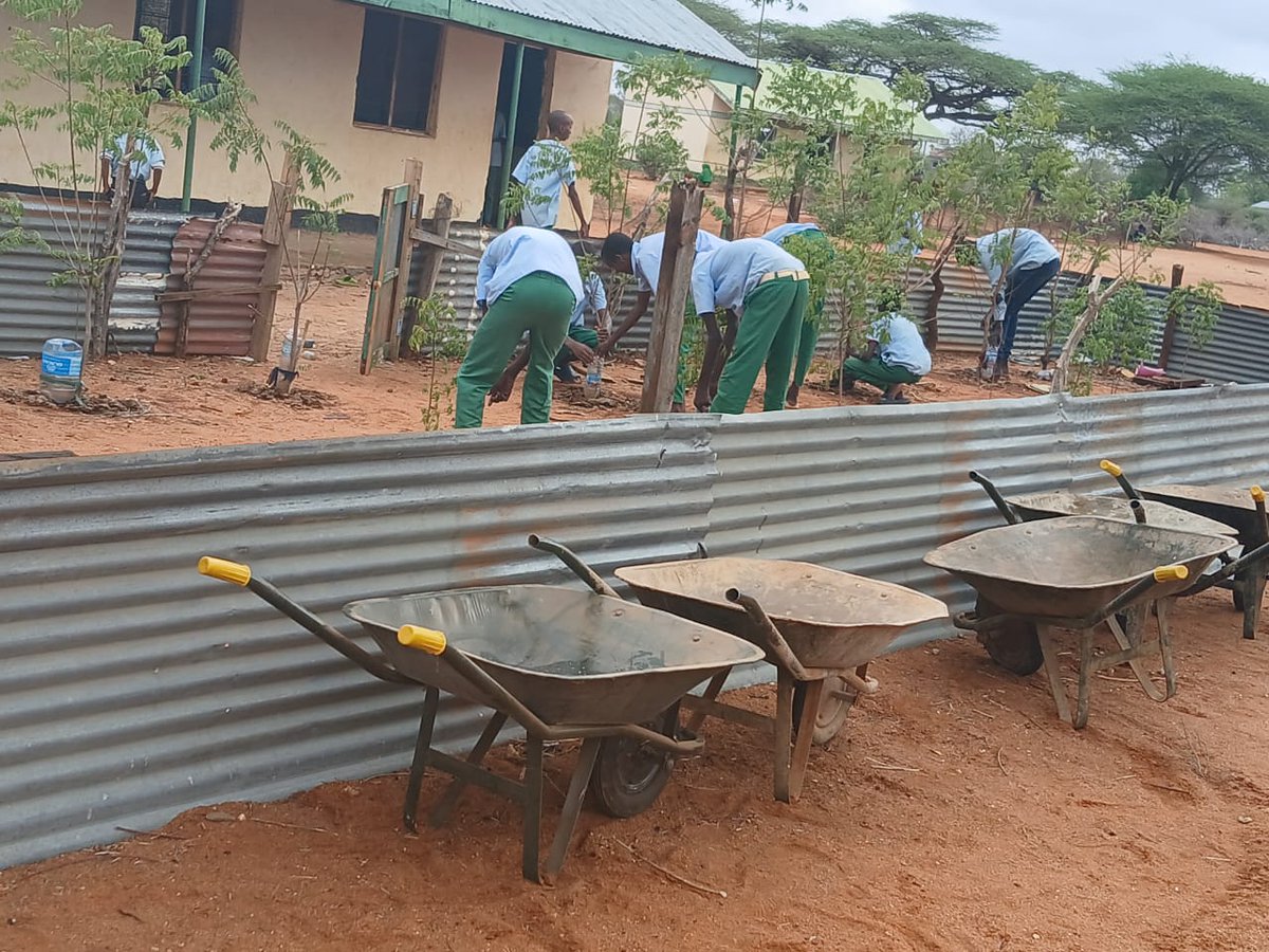 AsepsomaliaOrg's tweet photo. ASEP and @archeNova led the way! 🌿
Hygiene met tree planting at Darusalam &amp; Geriley schools in Southern Bardhere, where students took part in a vibrant school hygiene campaign and planted trees to promote health, cleanliness, and sustainability.HygieneMatters #TreePlanting https://t.co/BHfXms1qZM