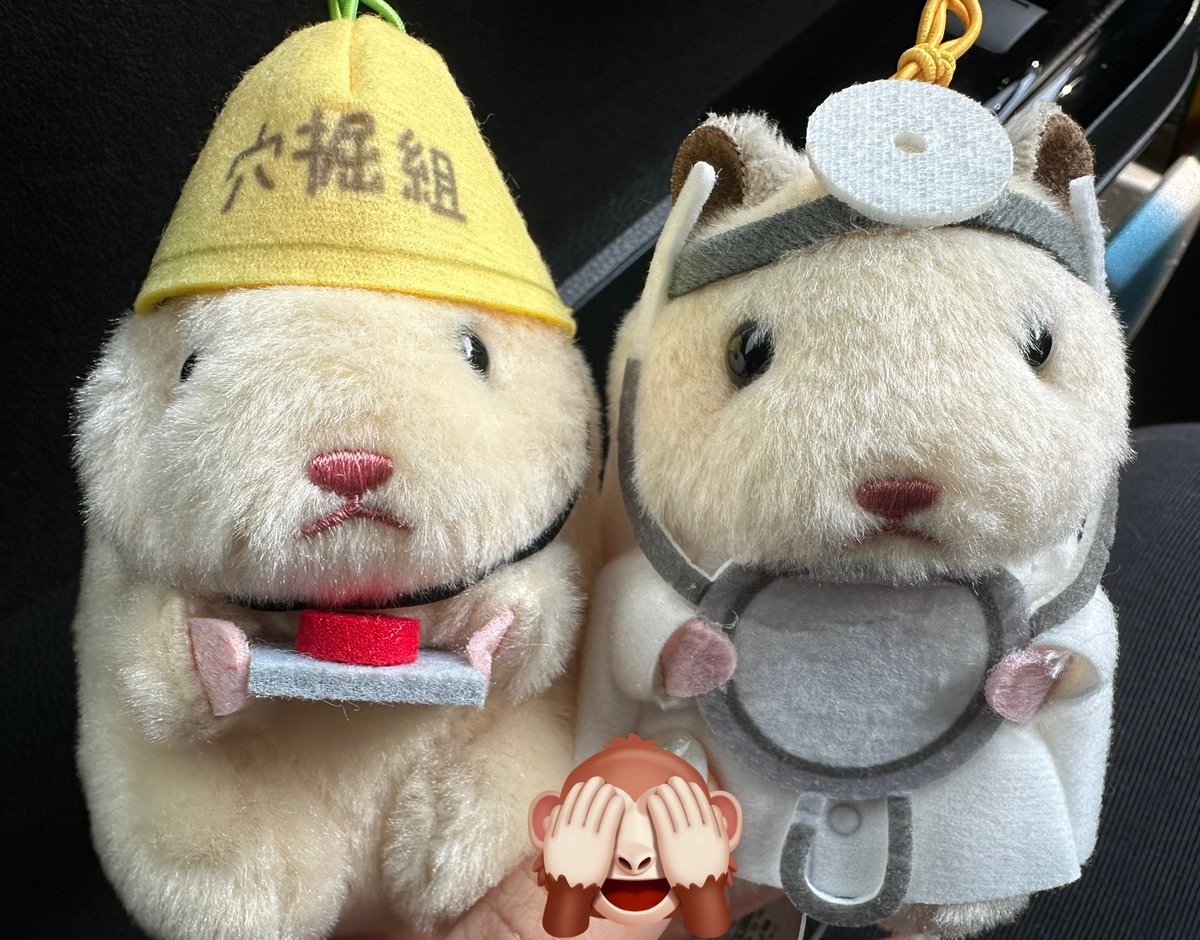 昨日捕獲したお仕事助六🐹✌️